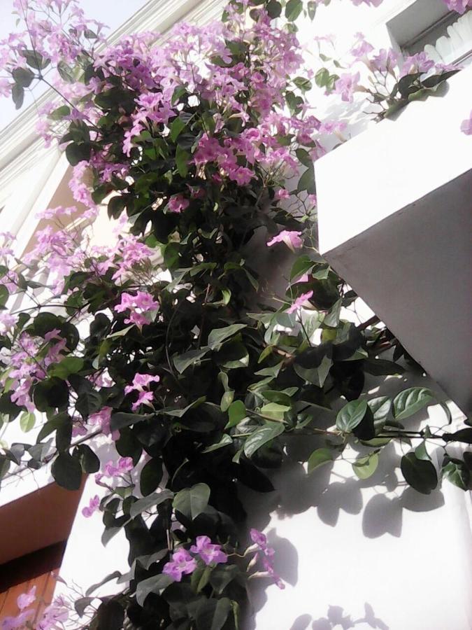 Cartagena Hotel Fegali Art Boutique מראה חיצוני תמונה